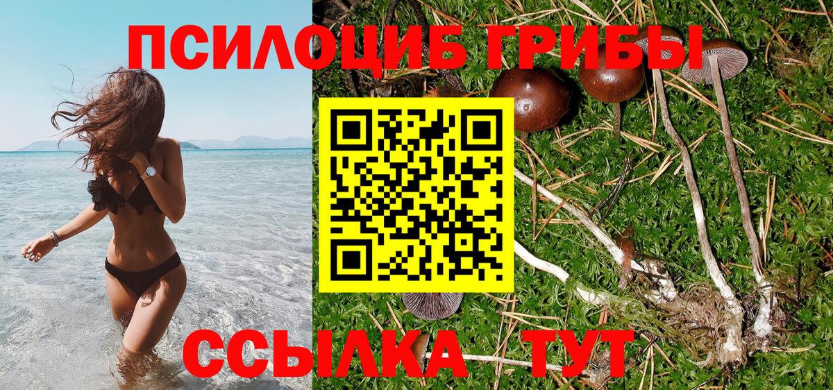 Псилоцибиновые грибы мицелий  Псилоцибиновые грибы MAGIC MUSHROOMS  Касимов  Вход с VPN 