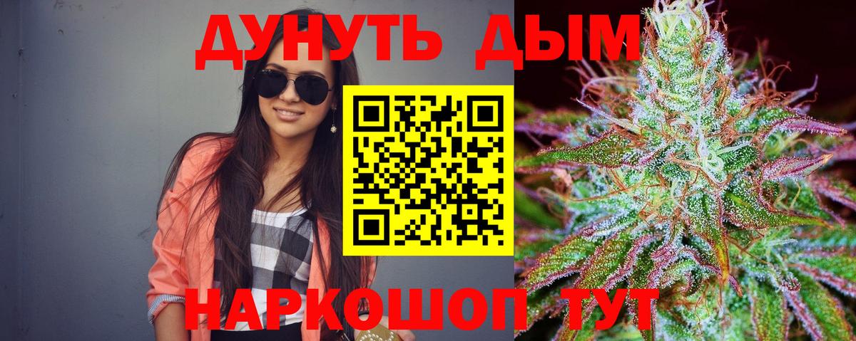 Канабис сатива Касимов